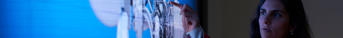 Bild zu Novel Cycles Engineer